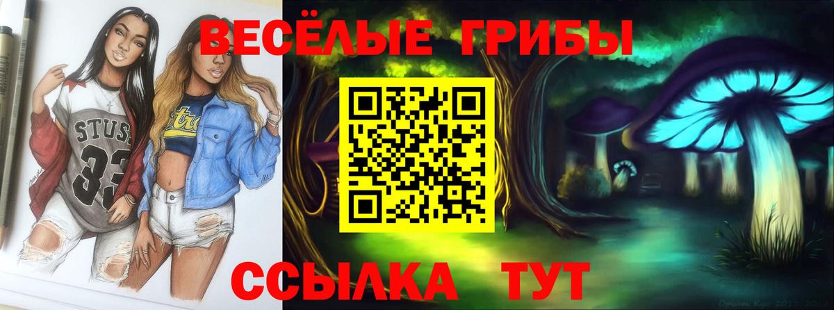 Оренбург  Псилоцибиновые грибы прущие грибы  Вход с VPN 